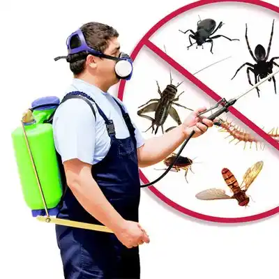 pest control Port Jefferson